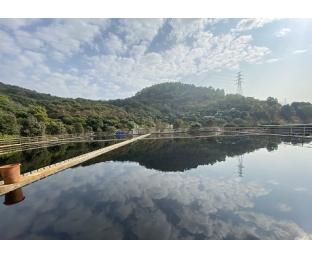 市政污水·穩(wěn)定達(dá)標(biāo)且不增加處理費用—庫巴魯