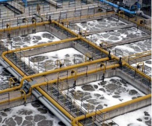 生化池出水氨氮超標提標怎么辦？