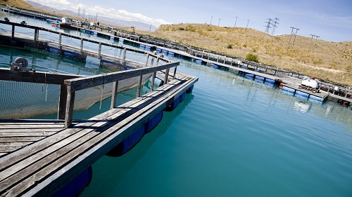 高濃度、高氨氮、難降解廢水