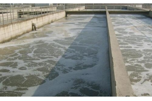 污水處理如何培養菌種？