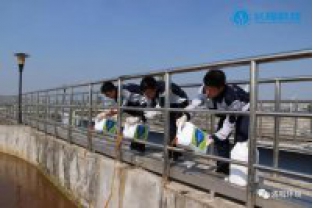 復(fù)合碳源的投加點(diǎn)在哪里最合適？