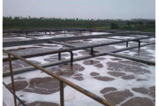 溫度對(duì)碳源有什么影響